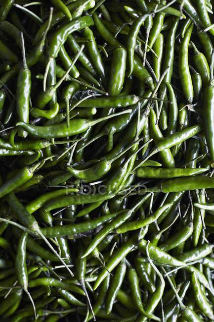 Piments verts — Photo de stock