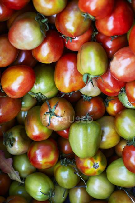 Красные и зеленые помидоры — стоковое фото