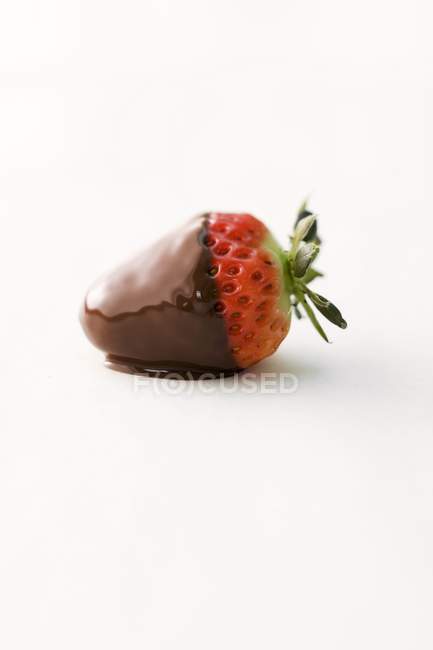 Fragola immersa nel cioccolato fondente — Foto stock