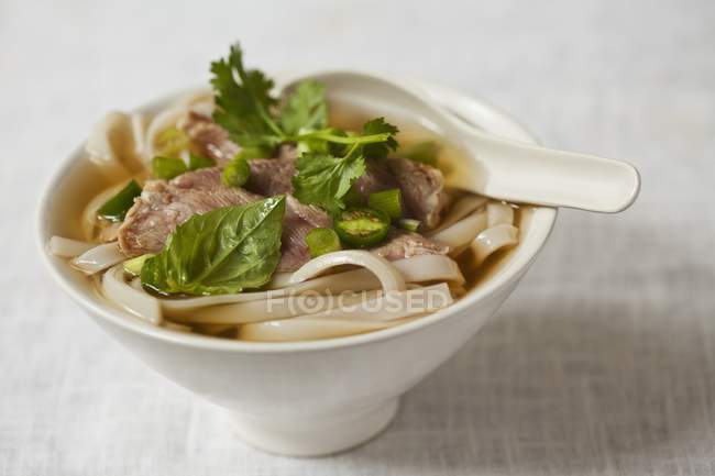Salad with sliced beef — Stock Photo