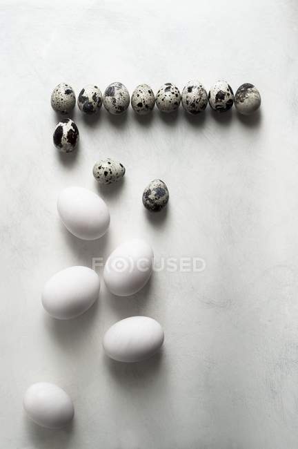 Uova di quaglia e di anatra — Foto stock