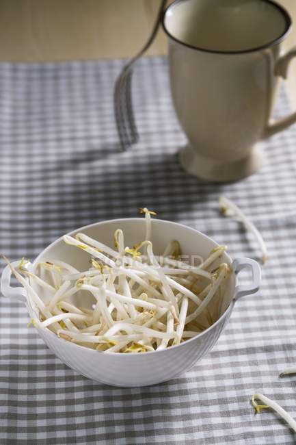 Bean sprouts in colander — Stock Photo