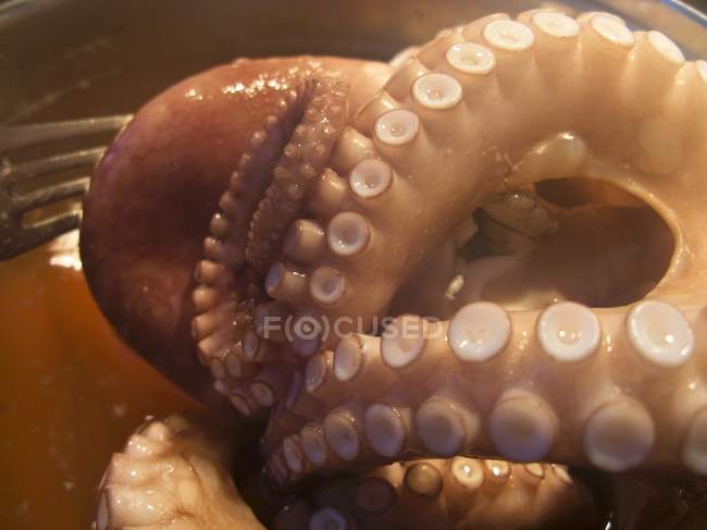 Вид крупным планом приготовленных щупалец осьминога — стоковое фото