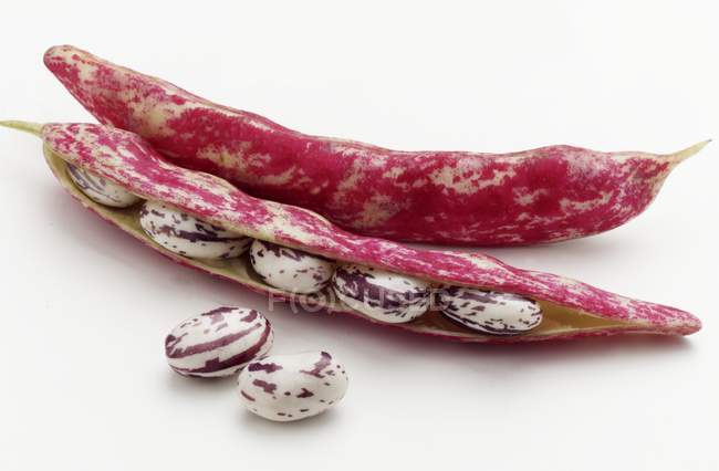 Fresh Borlotti beans in pods — Stock Photo