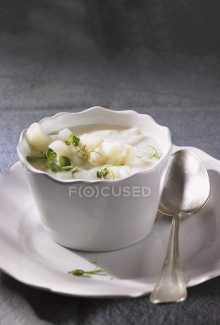 Cream of cauliflower soup with cress — Stock Photo