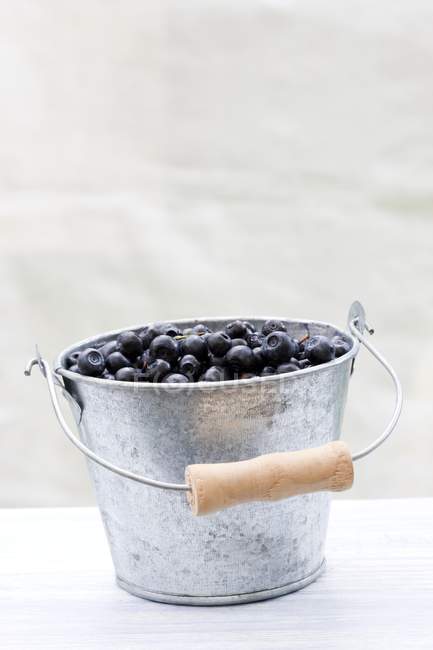 Fresh forest blueberries — Stock Photo