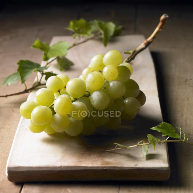 Uvas verdes frescas - foto de stock
