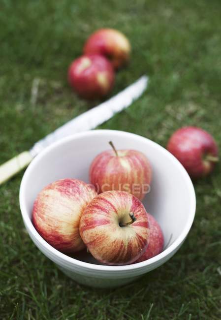 Pommes de gala rouge dans un bol — Photo de stock