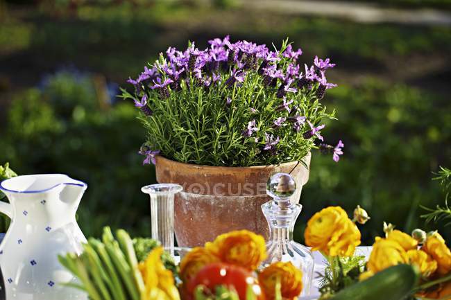 Fresh vegetables and flowers on a summery table outside outdoors — Stock Photo