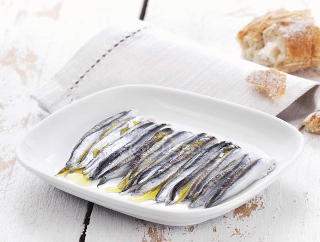 Сардины в оливковом масле — стоковое фото