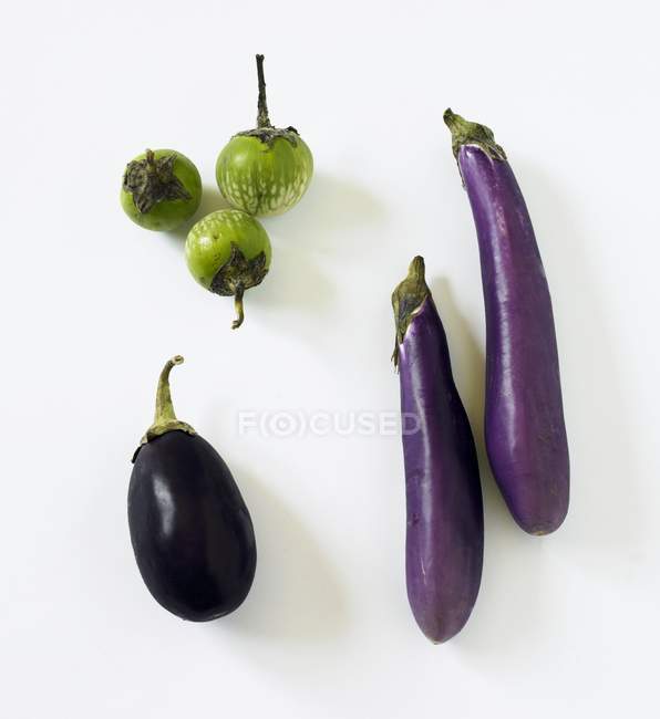 Fresh ripe eggplants — Stock Photo