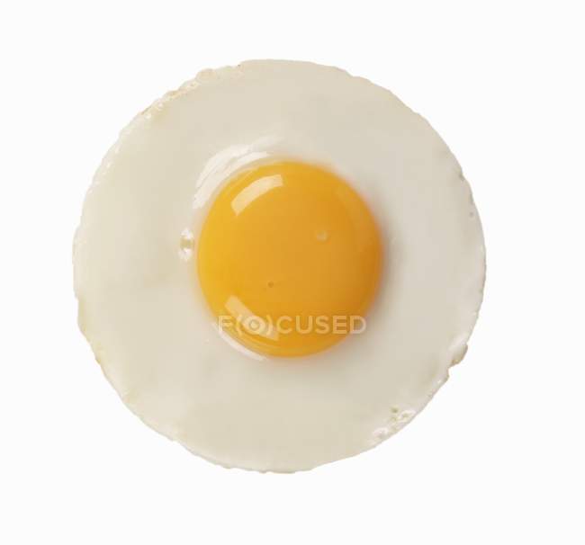 Жареное куриное яйцо — стоковое фото