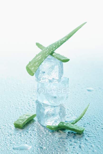 Aloe vera with ice cubes — Stock Photo