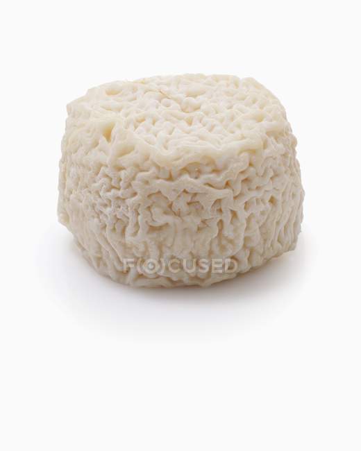 Ruota di formaggio di capra — Foto stock