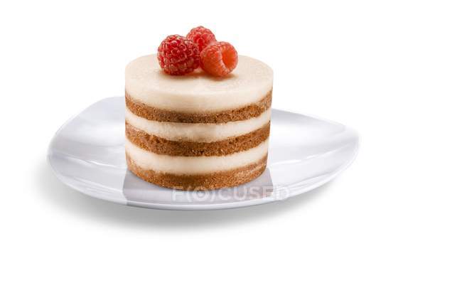 Raspberry tart in plate — Stock Photo