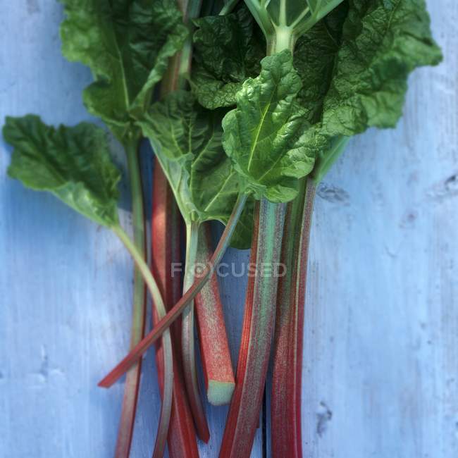Sticks of rhubarb and leaves — Stock Photo