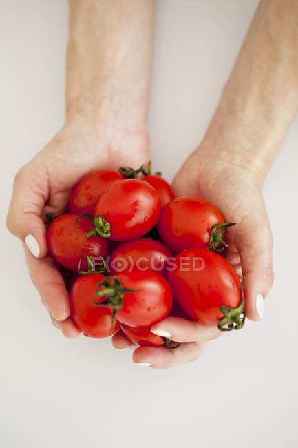 Los tomates rojos frescos en las manos - foto de stock