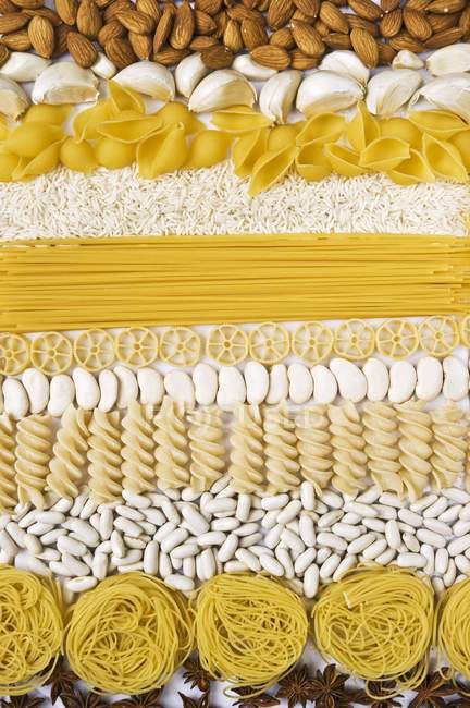 Spaghettis, pâtes à roulettes et conchiglies en rangées — Photo de stock