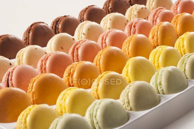 Rangées de macarons assortis — Photo de stock