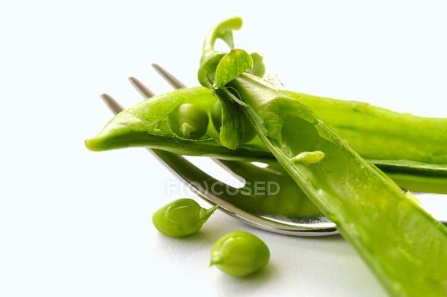 Fresh Peas with pods and fork — Stock Photo