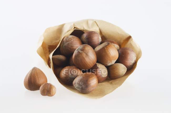 Hazelnuts in paper bag — Stock Photo