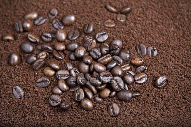 Granos de café en polvo - foto de stock