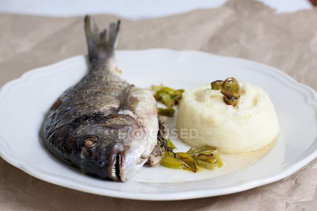Fried sea bream with parsnip puree — Stock Photo