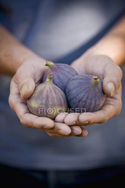 Homem segurando figos — Fotografia de Stock
