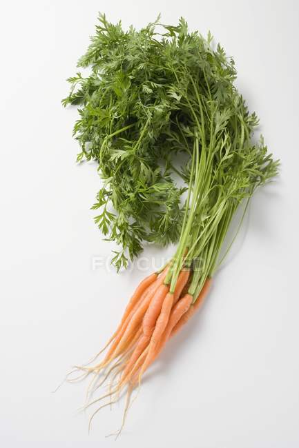 Свіжа морква з вершками — стокове фото