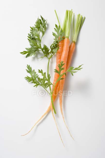 Zanahorias jóvenes con hoja - foto de stock