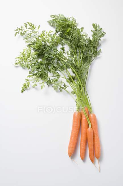 Свіжа морква з вершками — стокове фото