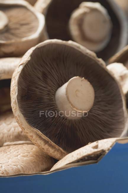 Cogumelos portobello frescos — Fotografia de Stock