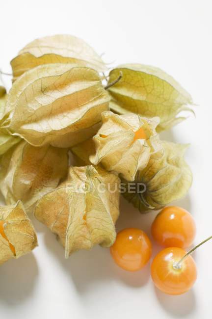 Physalis frutti con e senza guscio — Foto stock