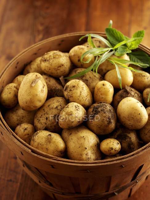 Fresh picked potatoes and herbs — Stock Photo