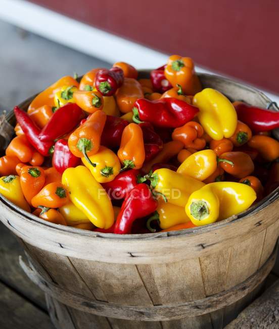 Fresh colorful Peppers — Stock Photo