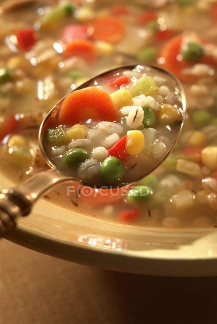 Cucharada de sopa de cebada - foto de stock