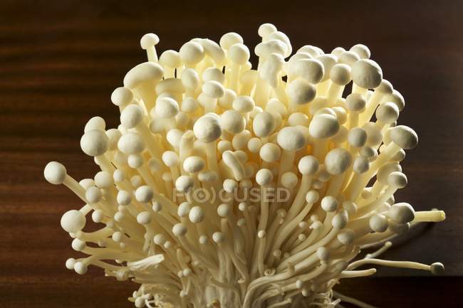 Funghi enoki freschi — Foto stock
