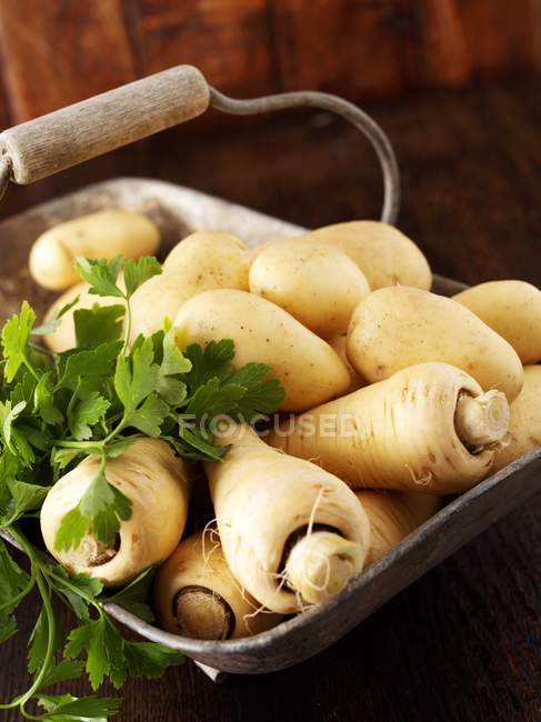 Frische Pastinaken und Kartoffeln — Stockfoto
