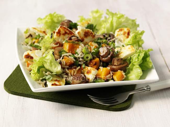 Рисовый салат с тыквой — стоковое фото