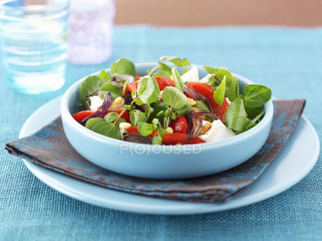Pepper salad with cheese — Stock Photo
