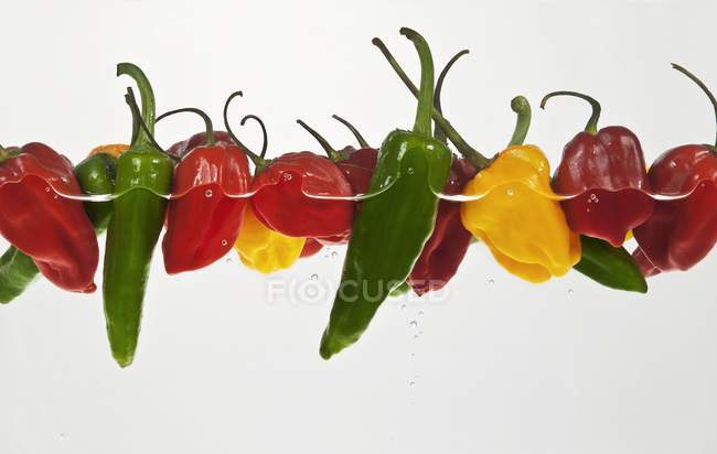 Chilli peppers in water — Stock Photo