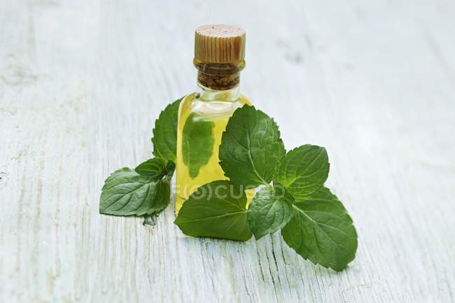 Bottiglia di olio di menta e menta fresca — Foto stock