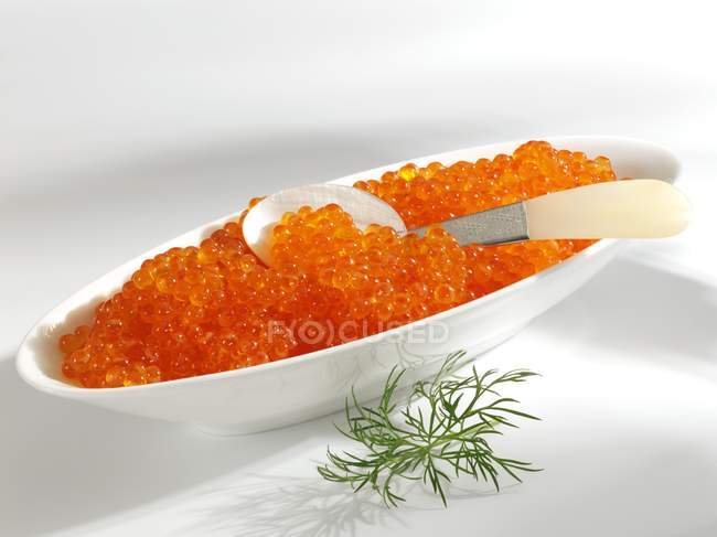 Trout caviar in dish with dill — Stock Photo