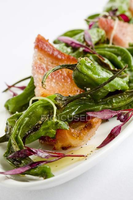 Roasted Shishito Peppers with Bacon and Fresh Greens on white plate — Stock Photo