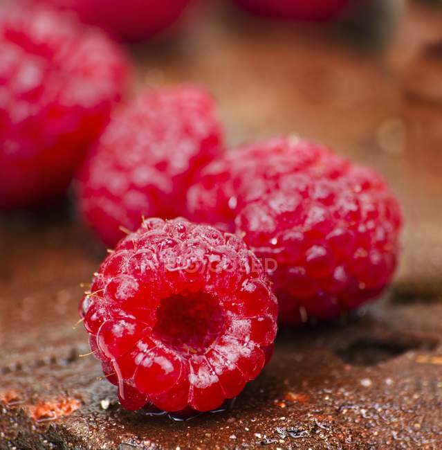 Fresh wet raspberries — Stock Photo