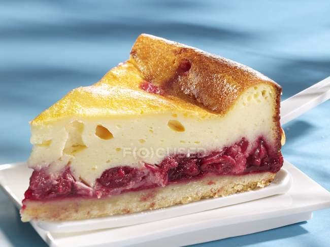 Piece of sour cheesecake — Stock Photo