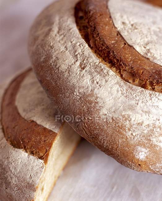 Pão branco cortado pela metade — Fotografia de Stock