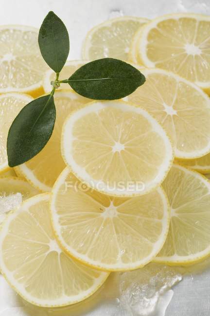 Zitronenscheiben mit Blättern — Stockfoto