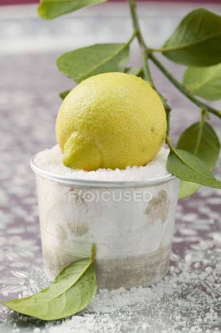 Lemon in dish of salt — Stock Photo