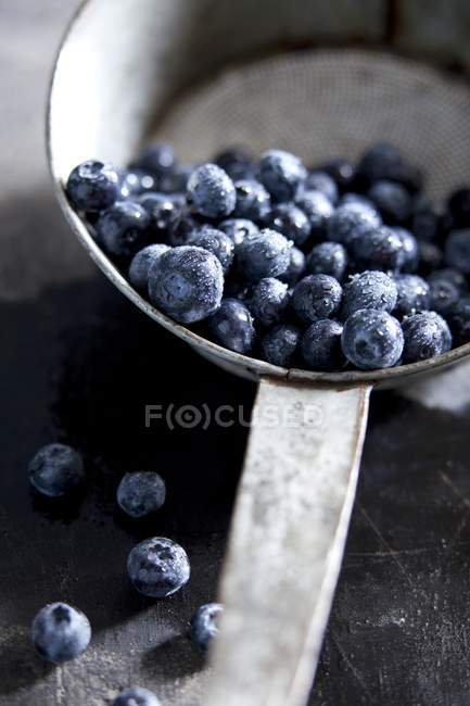 Washed Blueberries in saucepan — Stock Photo